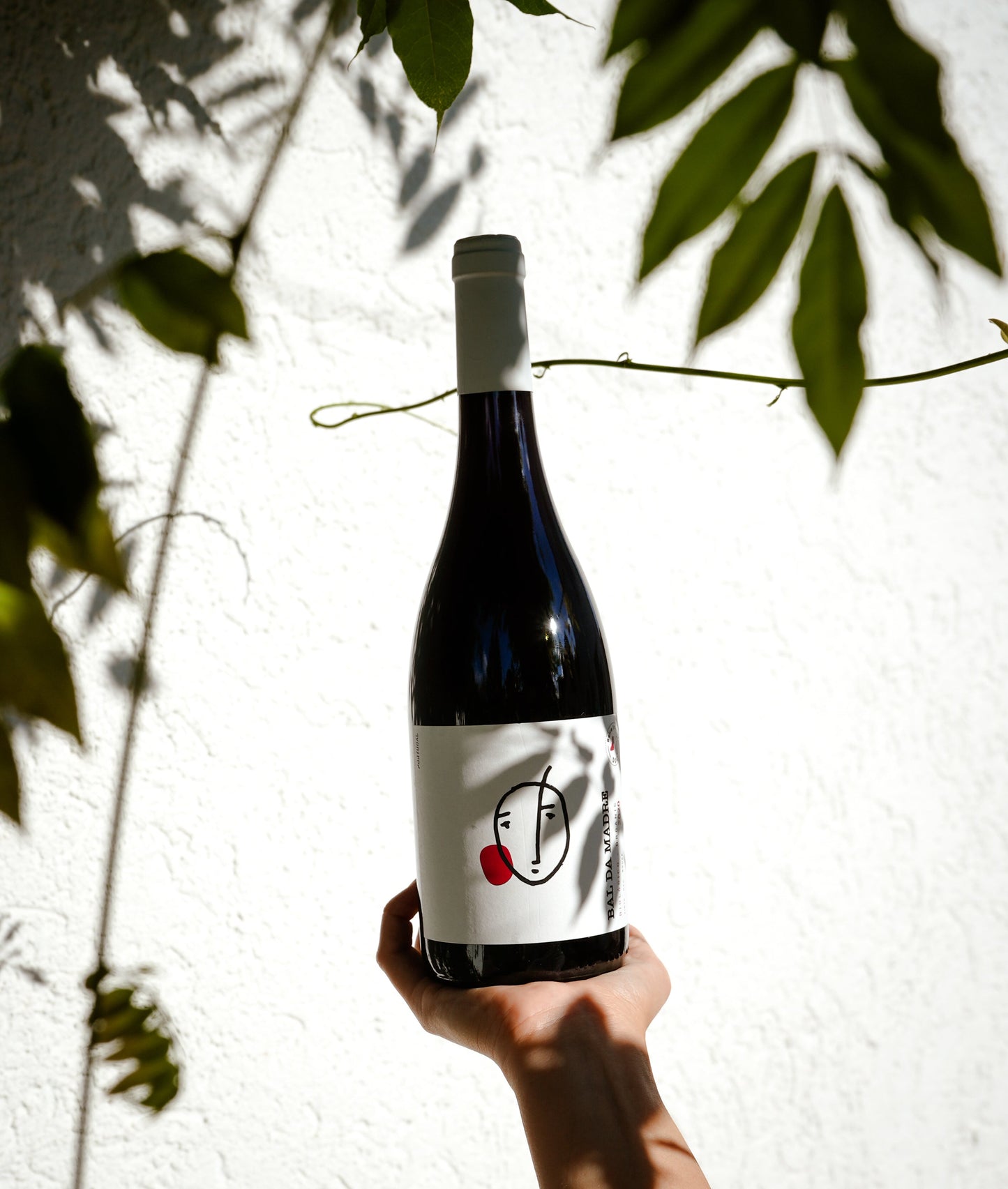 6x Bal da Madre BIO Rotwein