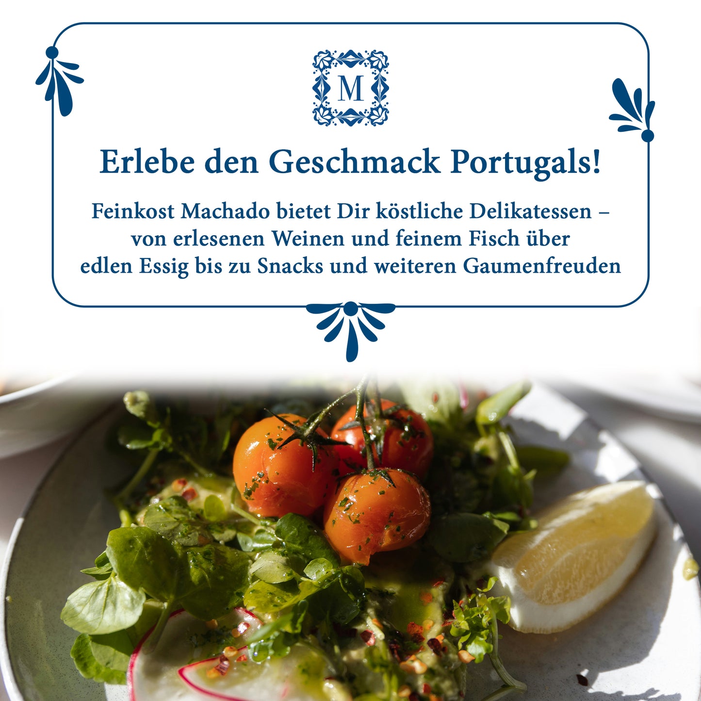 6x Balsamico Essig aus roten Früchten 5%, 250ml | Feinkost Machado