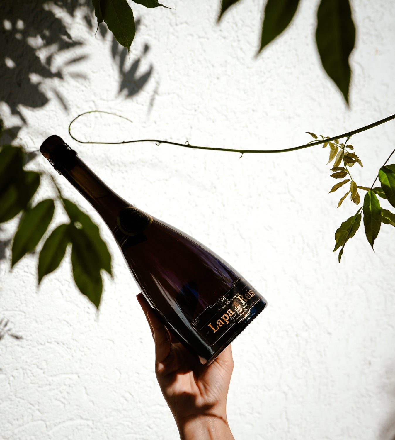 6x Lapa dos Reis Sekt Rose