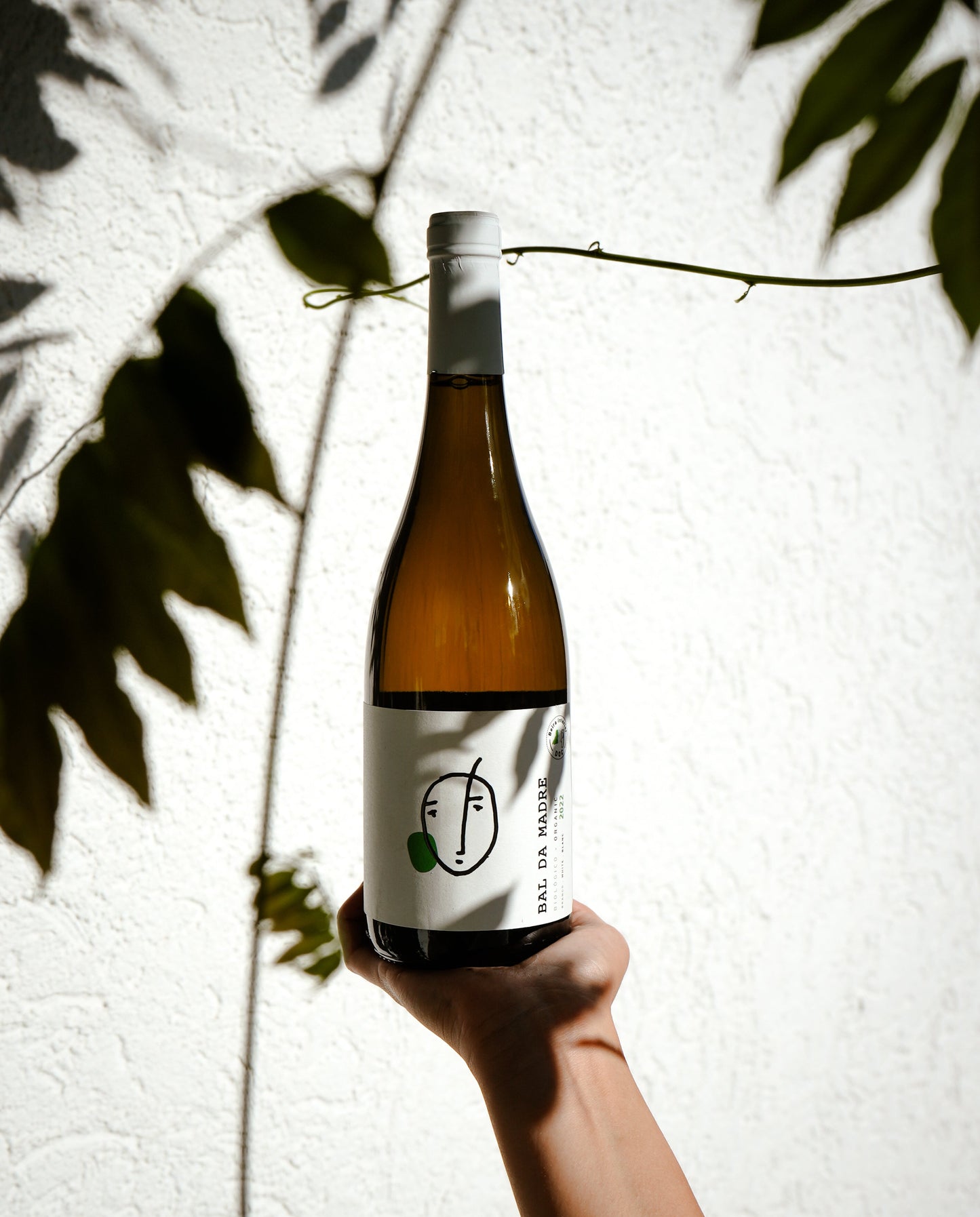 6x Bal da Madre BIO Weißwein