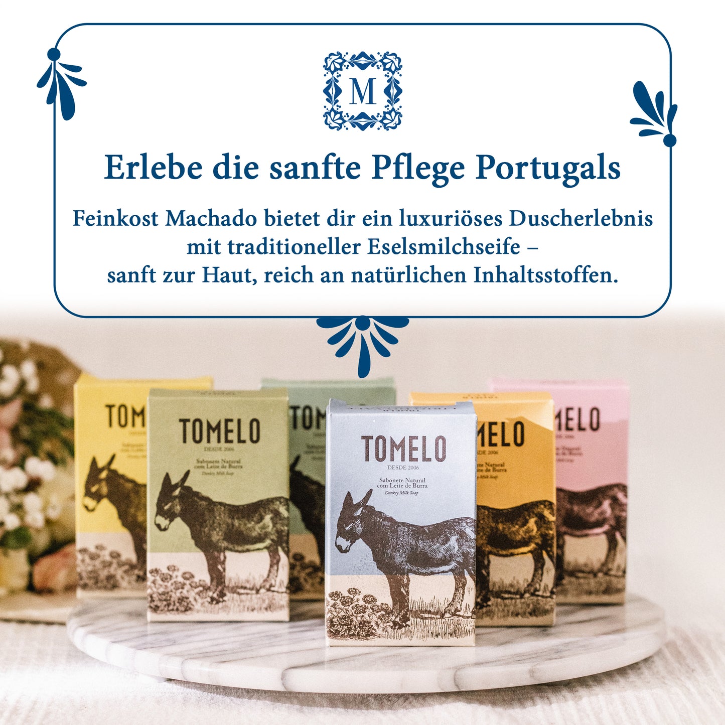 6x Seife aus Eselsmilch mit Olivenöl - Tomelo 150g