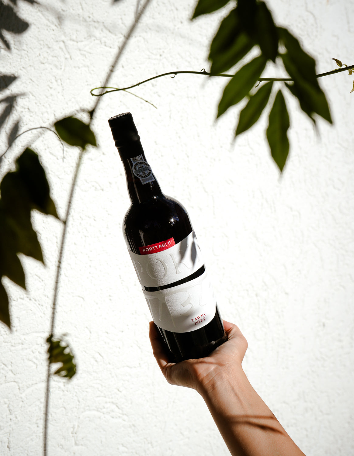 6x Porttable Portwein - Tawny